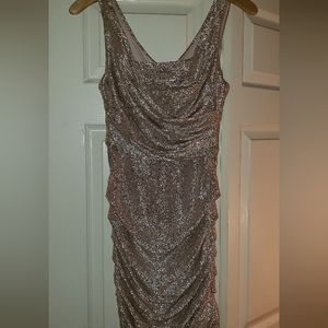 Blush pink Shimmering Dress